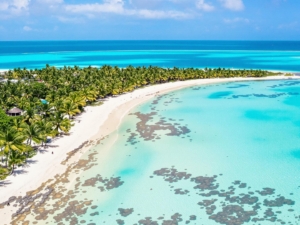 Luxurious island resort with palm trees and turquoise water.